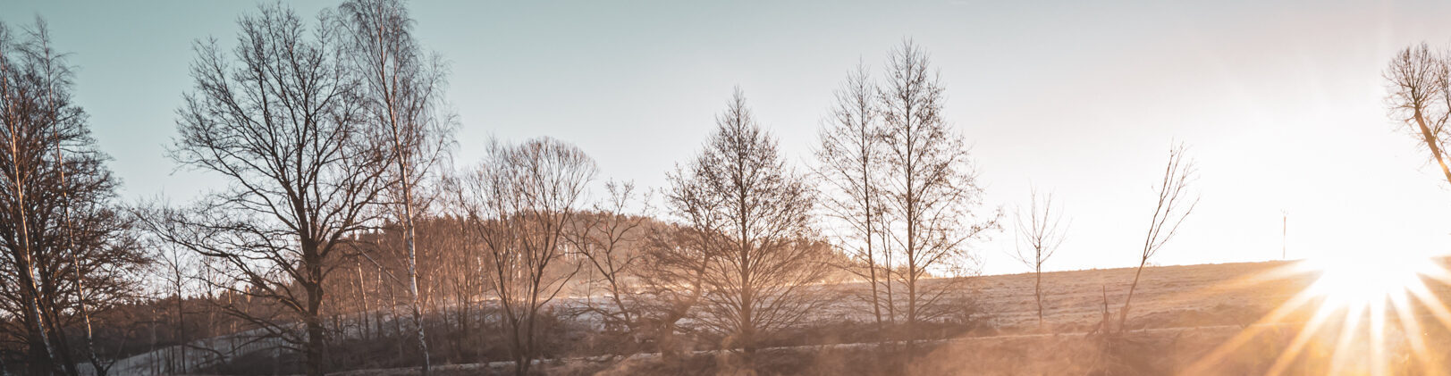 Radomil Macek – GRIF